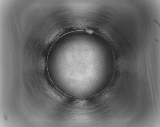 X0000102250642200807251323