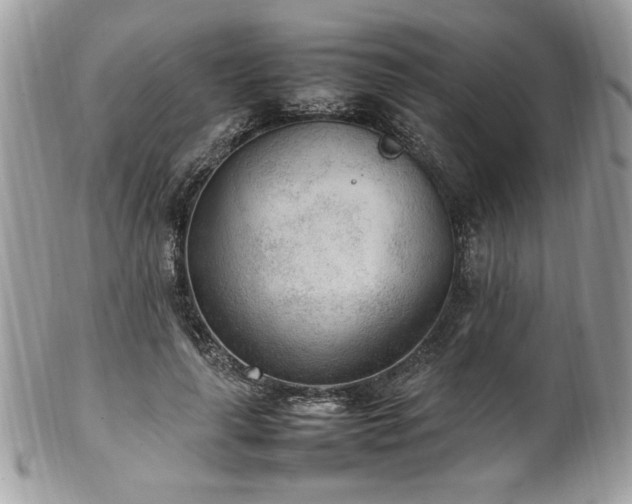X0000102250643200807251323