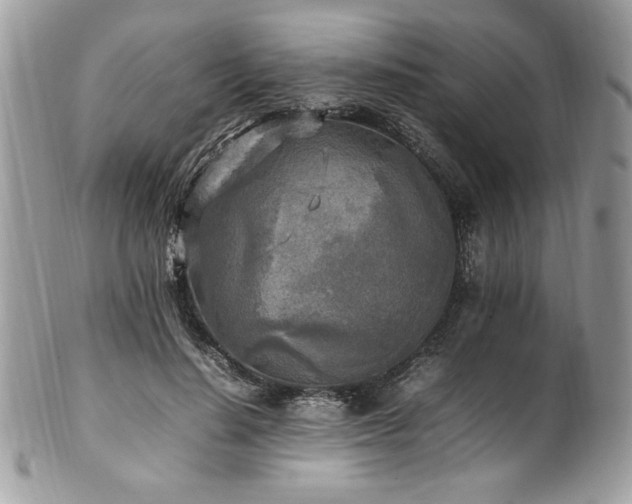 X0000102250644200807251323