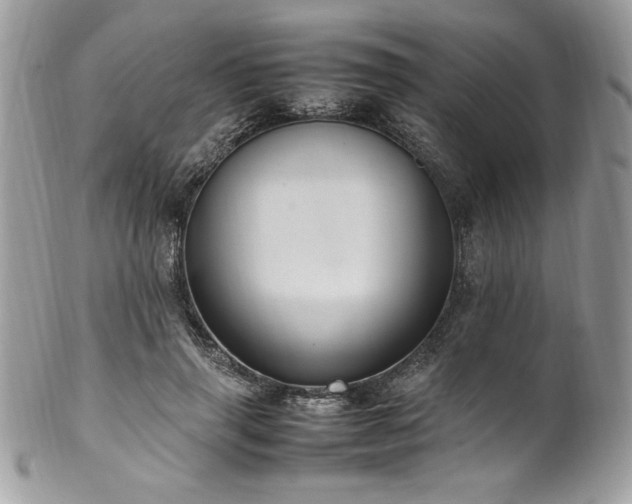 X0000102250645200807251323
