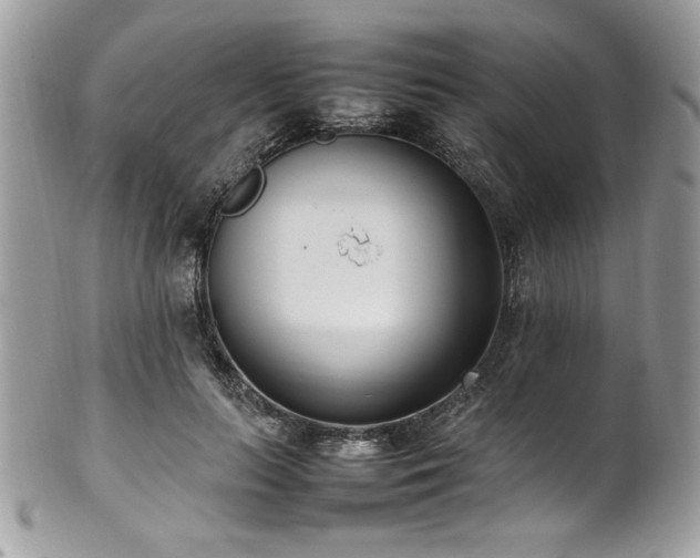 X0000102250647200807251323