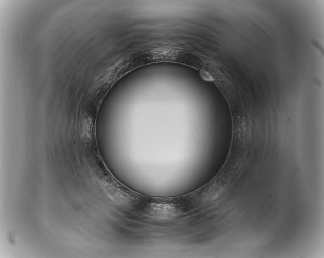 X0000102250649200807251323