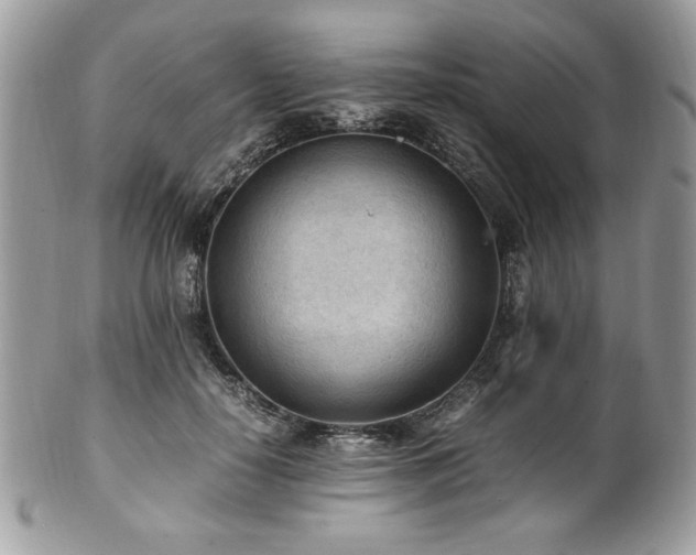 X0000102250650200807251323