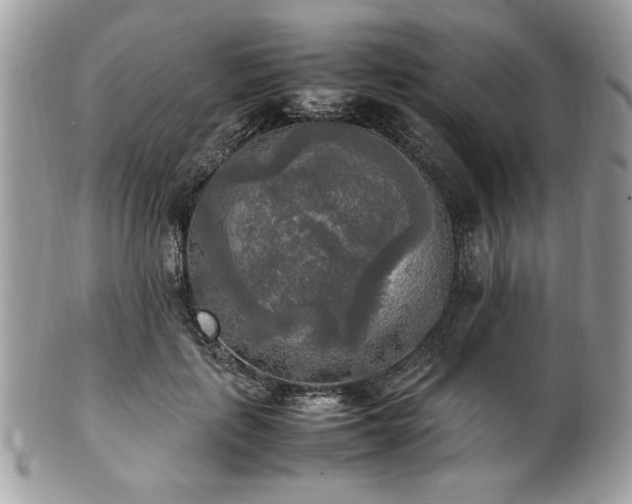 X0000102250651200807251323