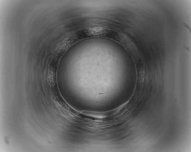 X0000102250653200807251323