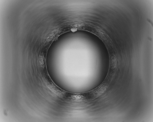 X0000102250654200807251323