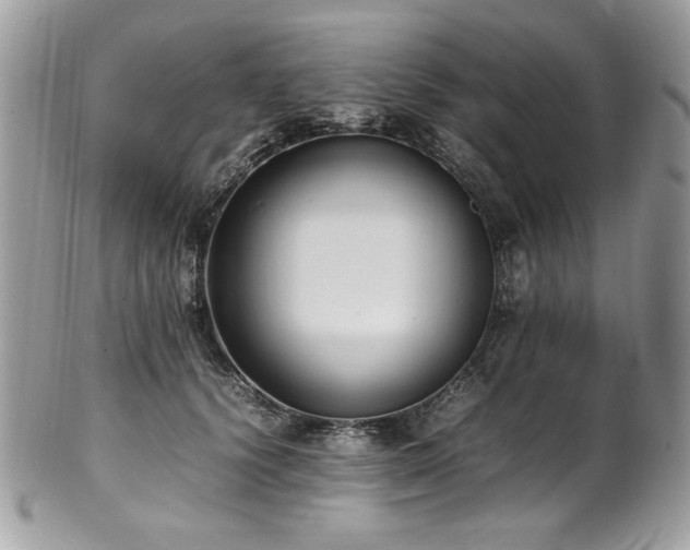 X0000102250656200807251323