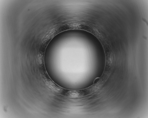 X0000102250658200807251323