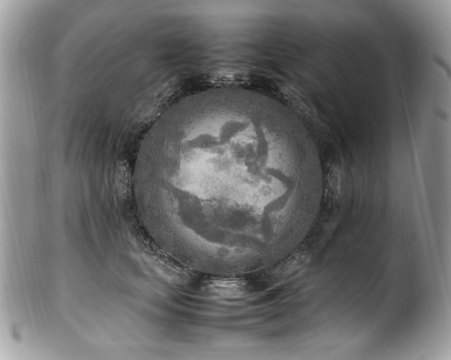 X0000102250659200807251323