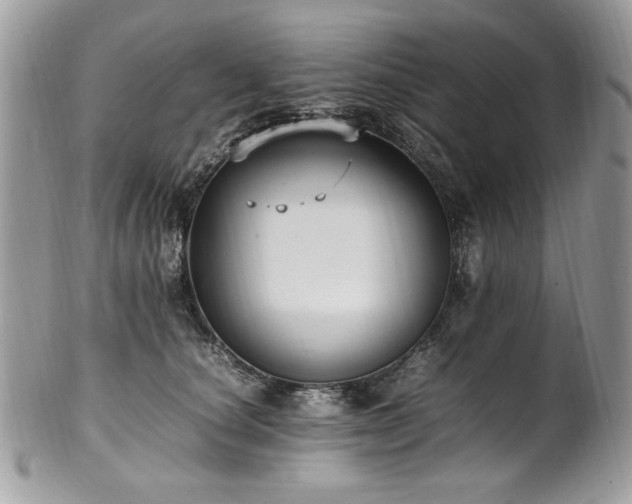 X0000102250660200807251323