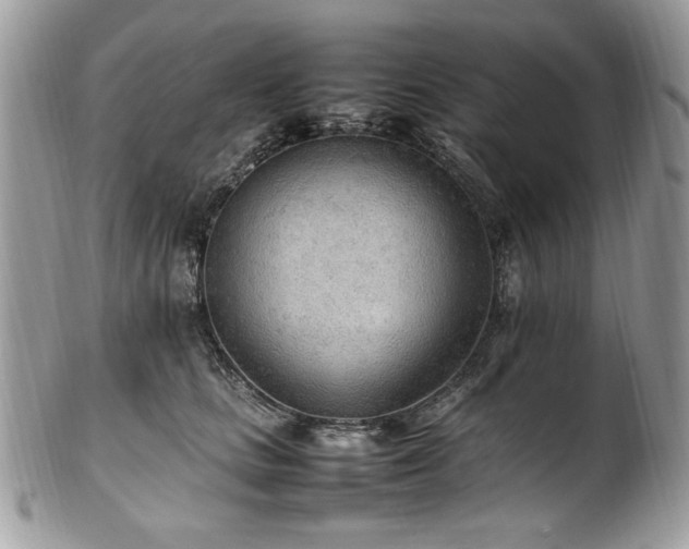 X0000102250661200807251323