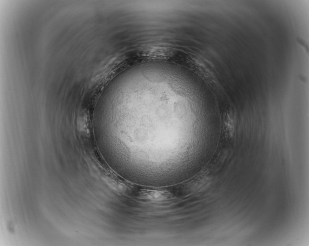 X0000102250663200807251323