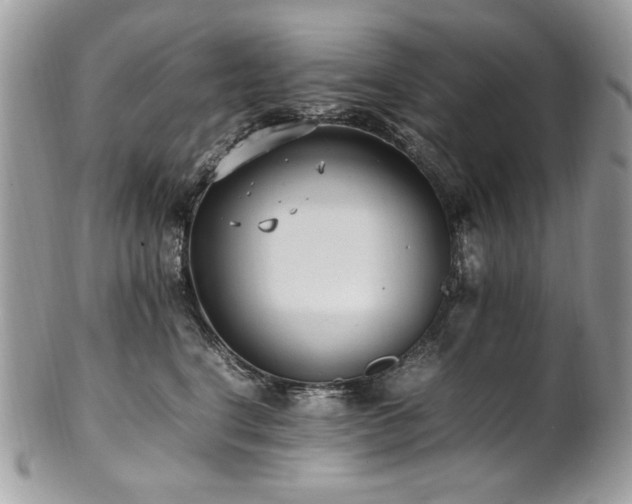 X0000102250664200807251323