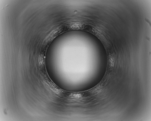 X0000102250665200807251323