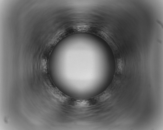 X0000102250667200807251323