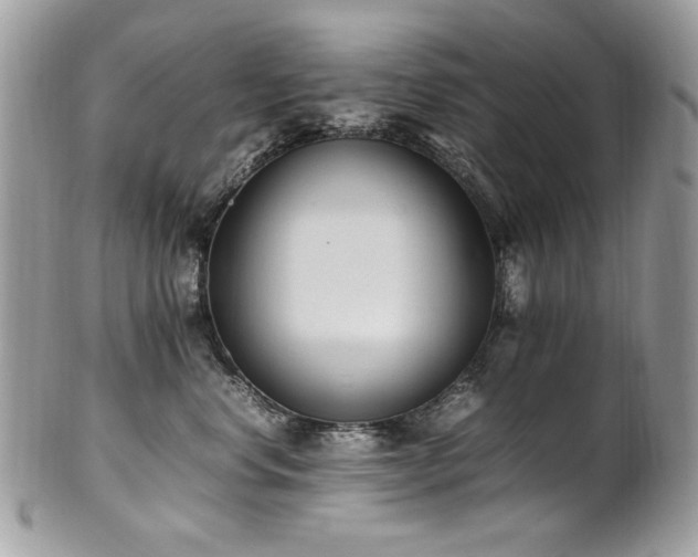 X0000102250668200807251323