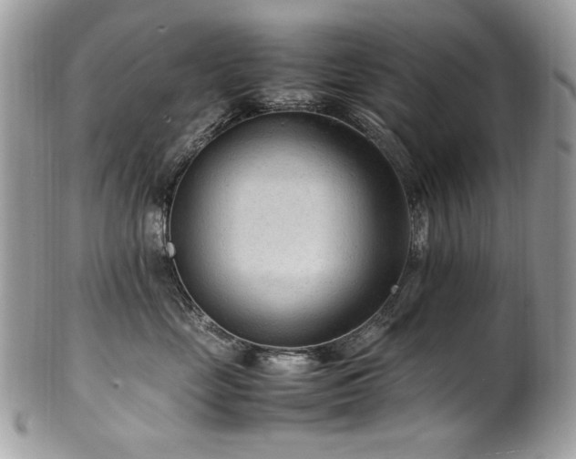 X0000102250669200807251323