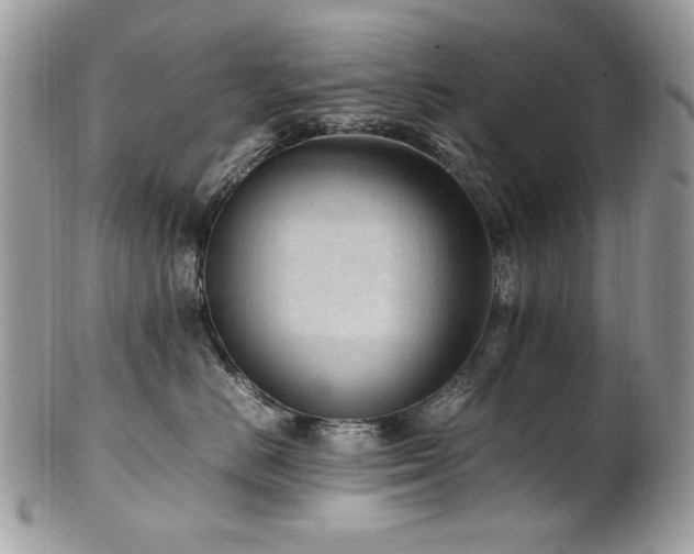 X0000102250670200807251323