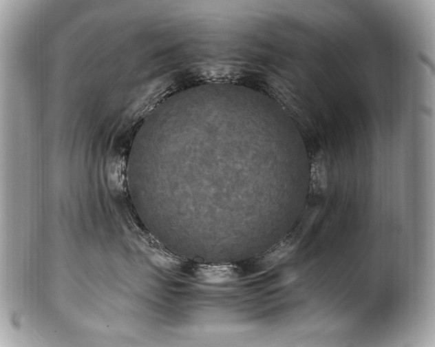 X0000102250671200807251323