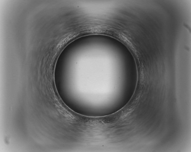 X0000102250673200807251322