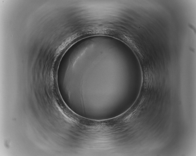 X0000102250674200807251322