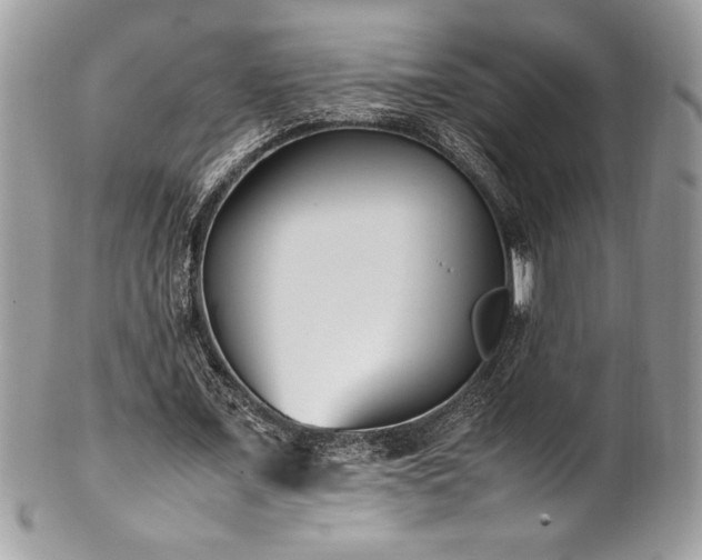X0000102250675200807251322