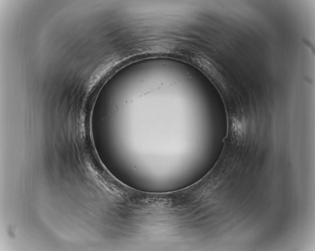 X0000102250676200807251322