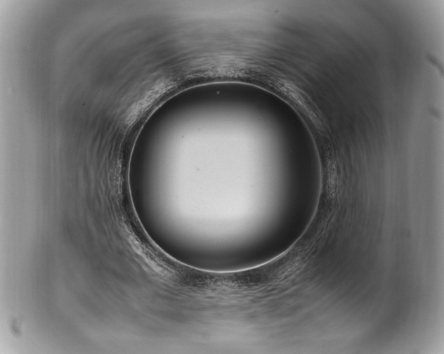 X0000102250677200807251322