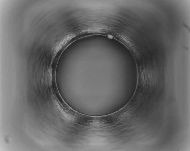X0000102250678200807251322