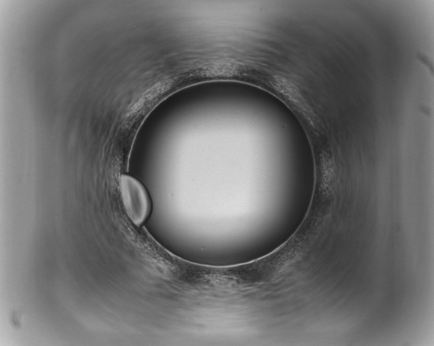 X0000102250681200807251322