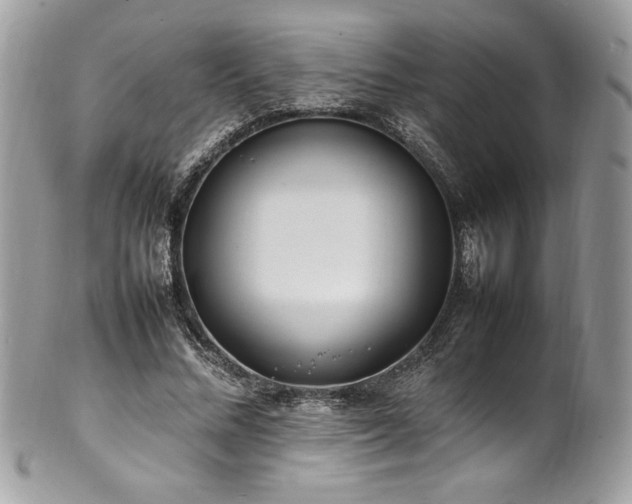 X0000102250684200807251322