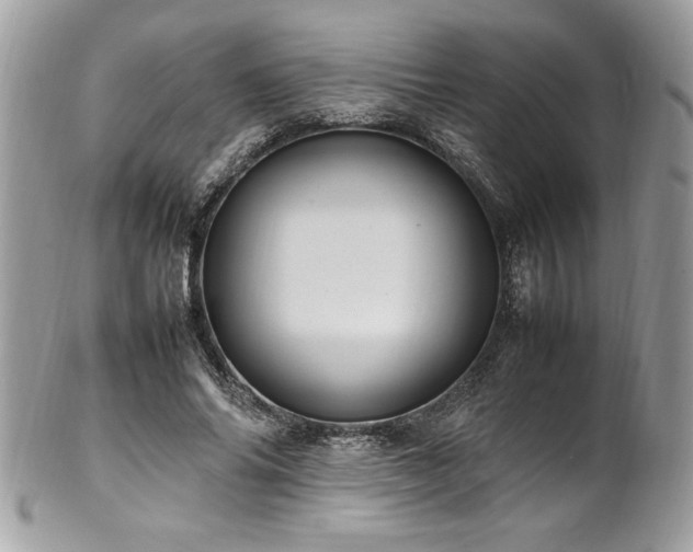 X0000102250686200807251322
