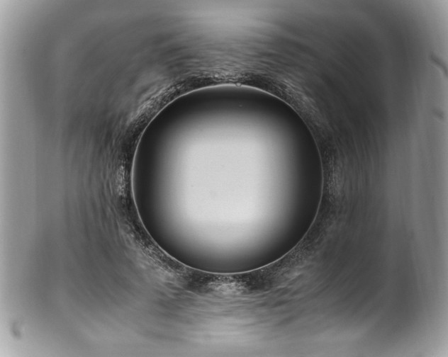 X0000102250689200807251322
