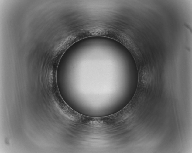 X0000102250690200807251322