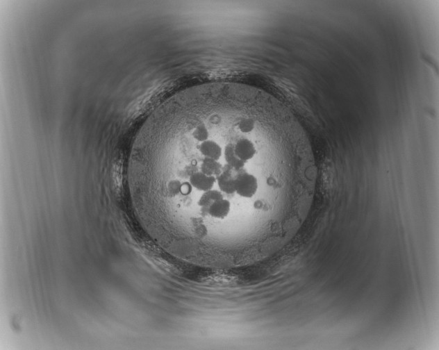 X0000102250691200807251322