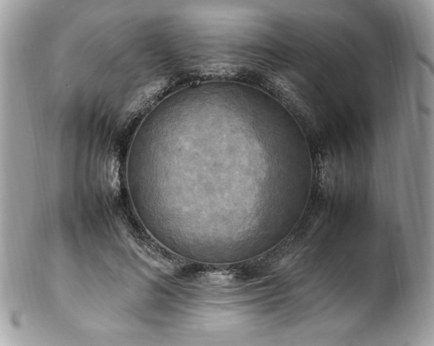 X0000102250692200807251322