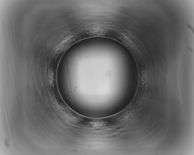 X0000102250693200807251322