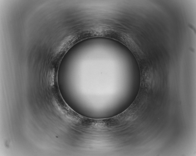 X0000102250694200807251322