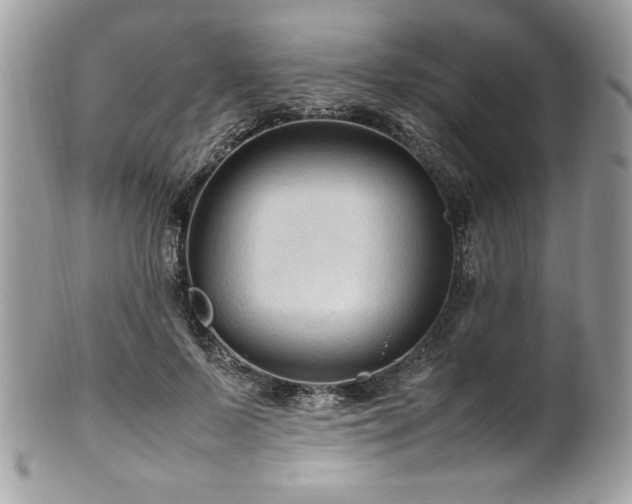 X0000102250695200807251322