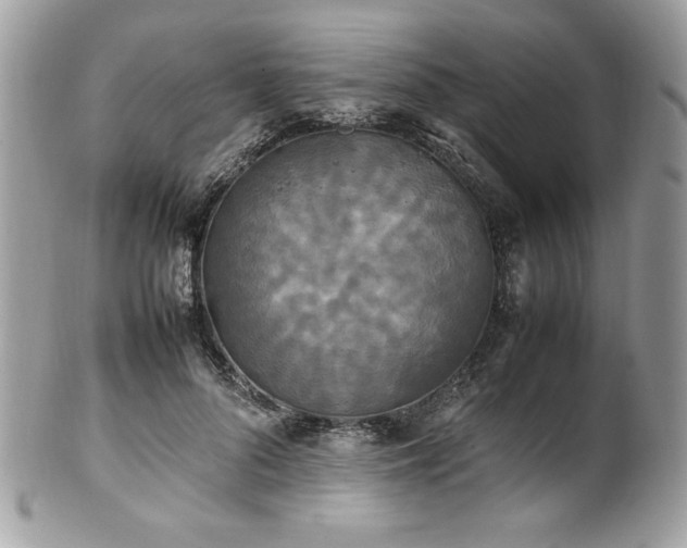 X0000102250696200807251322