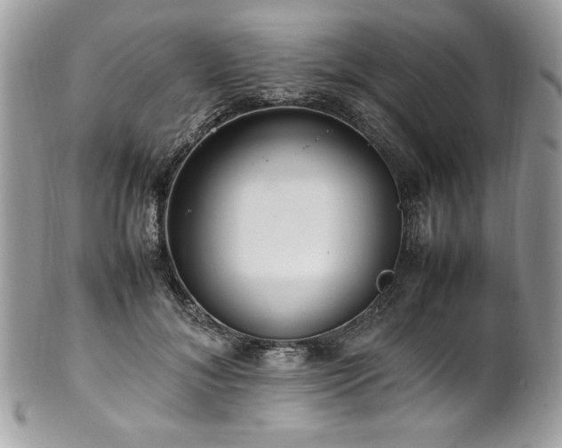 X0000102250700200807251322