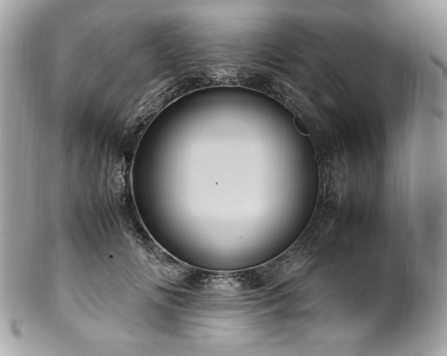 X0000102250702200807251322