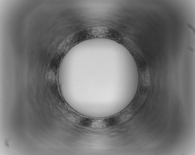 X0000102250705200807251322