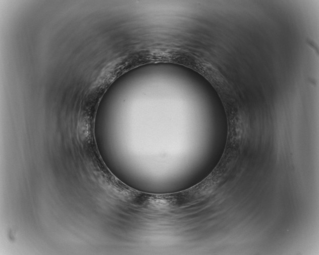 X0000102250706200807251322