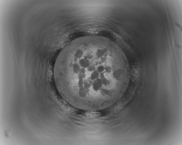 X0000102250707200807251322