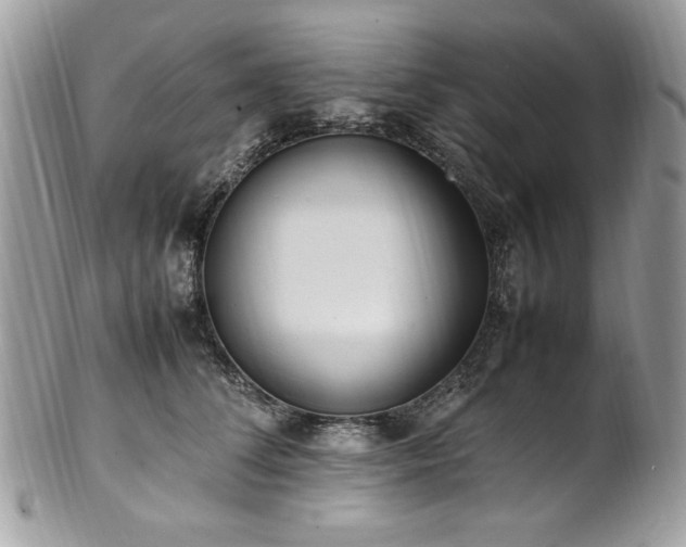 X0000102250708200807251322