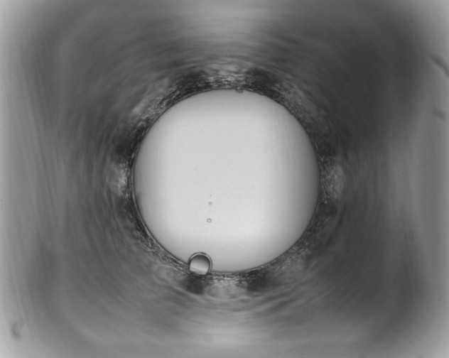 X0000102250709200807251322