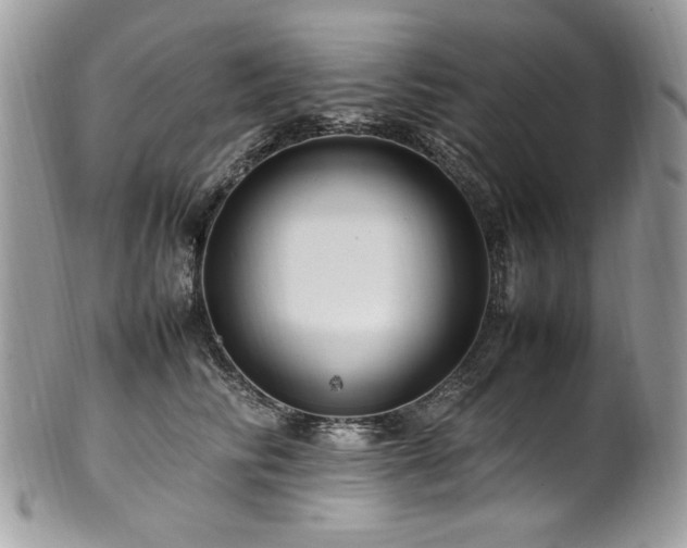 X0000102250710200807251322