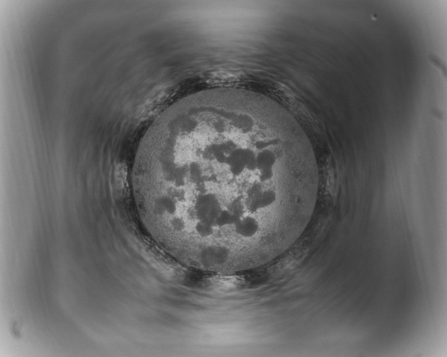 X0000102250711200807251322