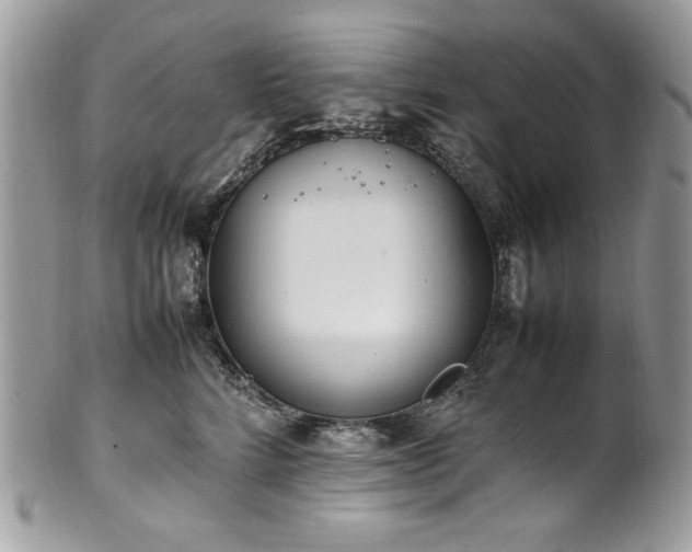 X0000102250712200807251322
